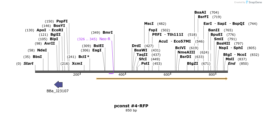 157128_map