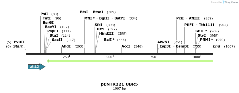 157129_map