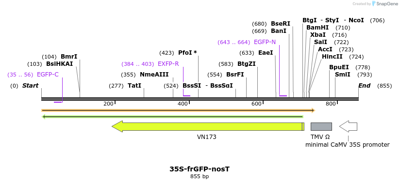 157131_map