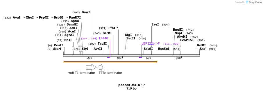 157132_map