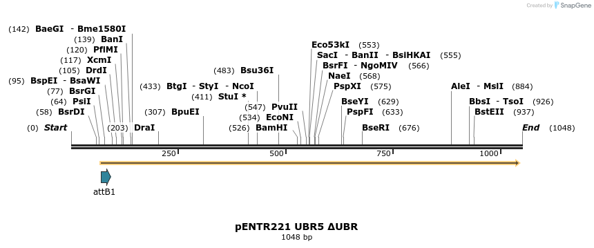 157137_map