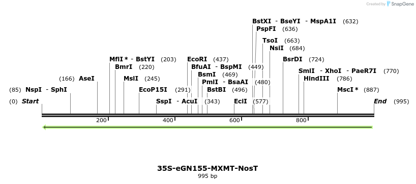 157139_map