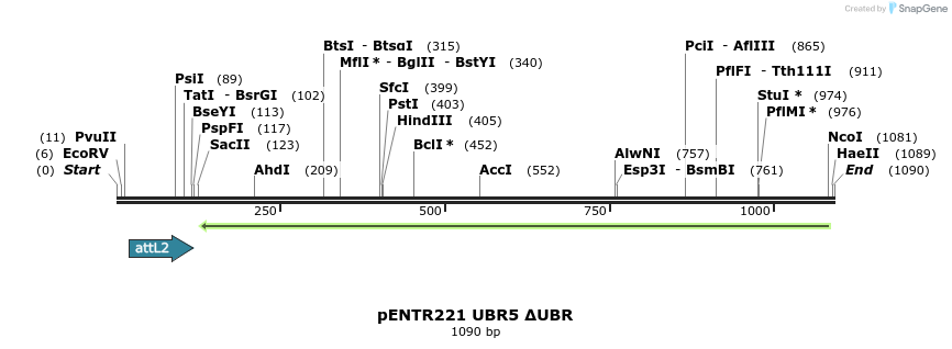 157140_map