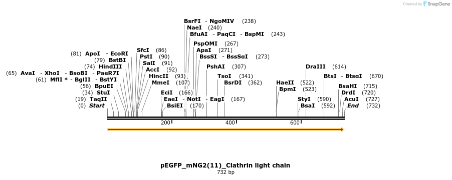157146_map