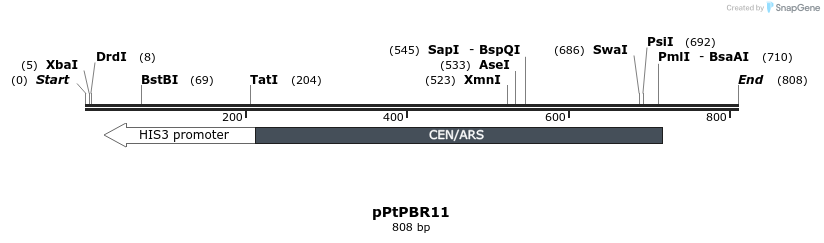 157172_map
