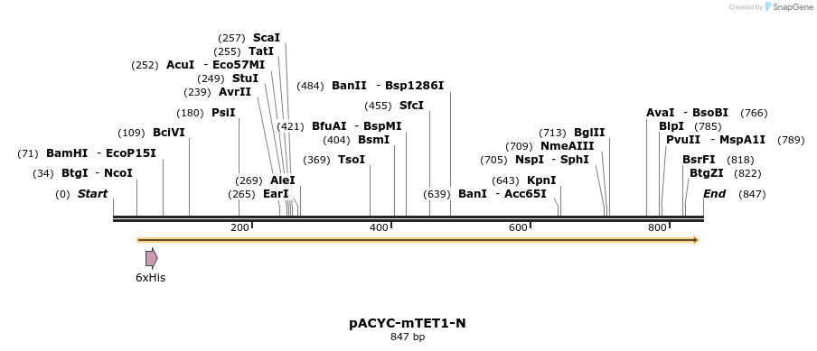 157184_map