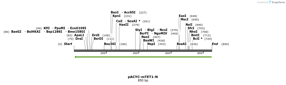 157185_map
