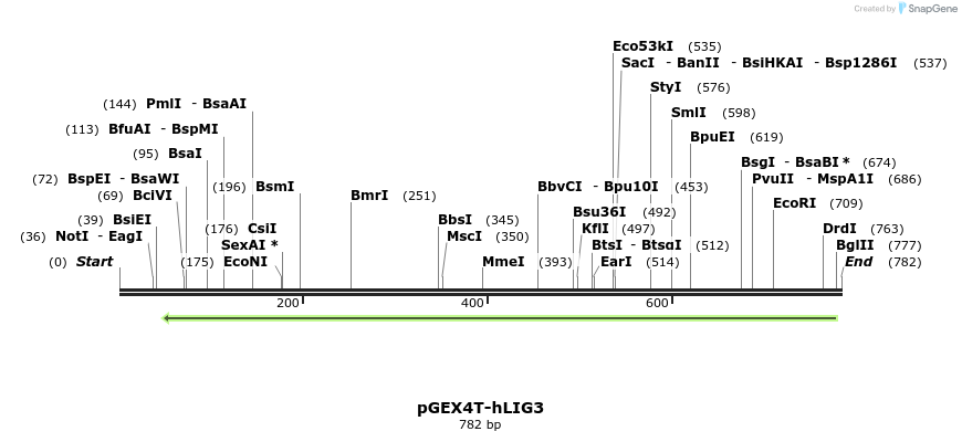 157186_map