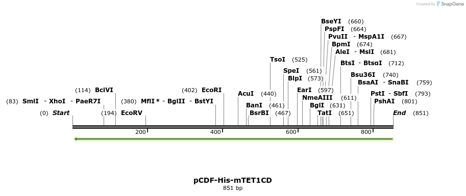 157197_map