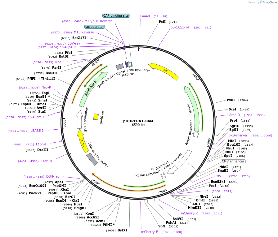 157201_map