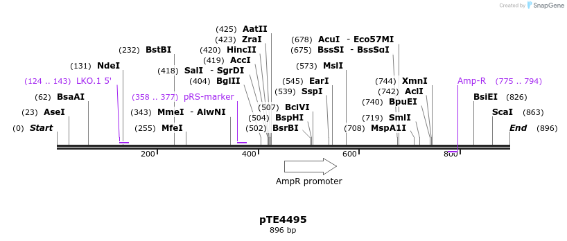 157202_map