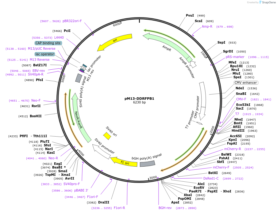 157203_map