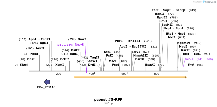 157207_map
