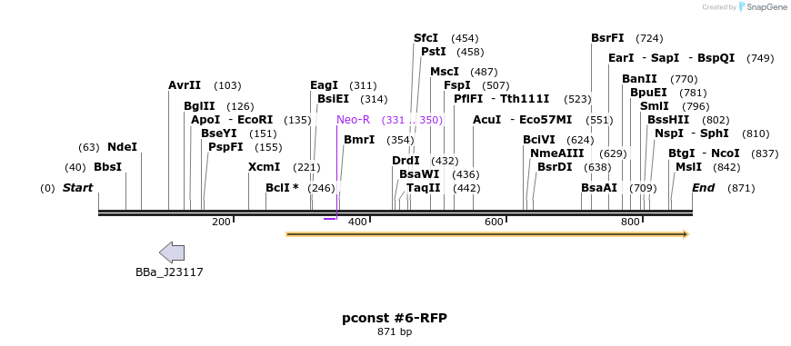 157209_map