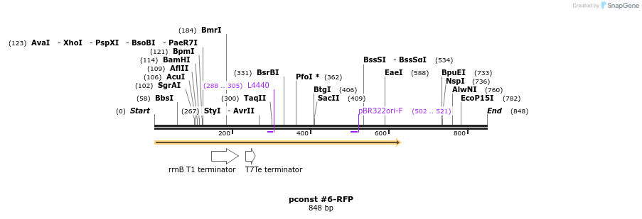 157210_map