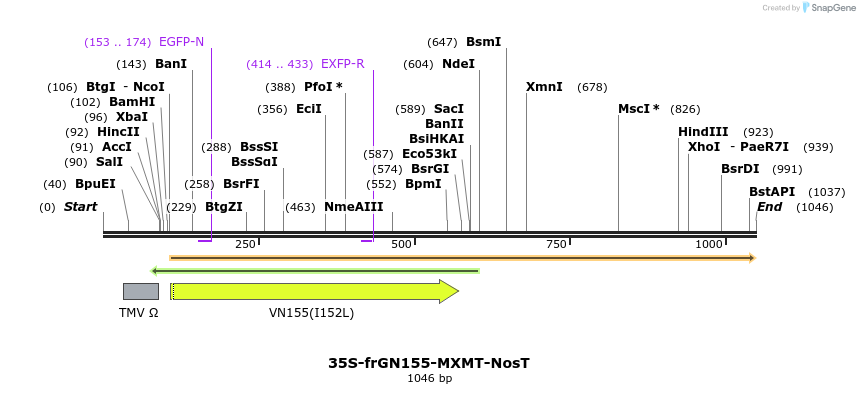 157211_map