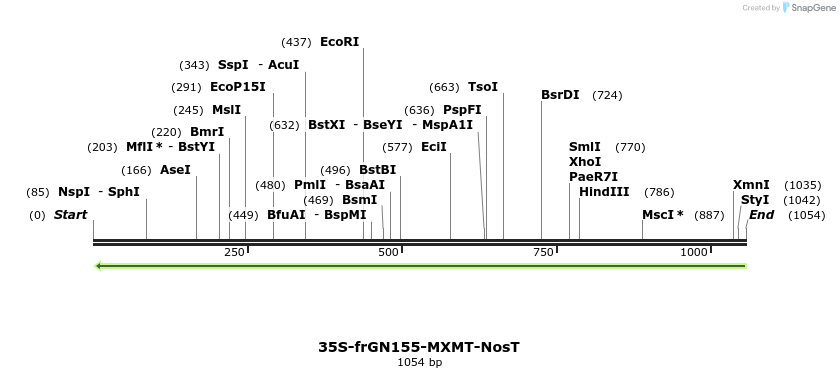 157212_map