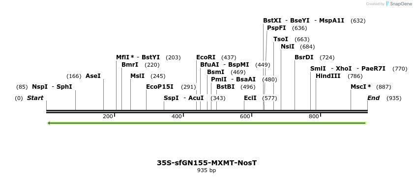 157214_map