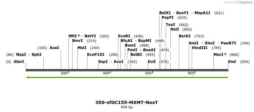 157216_map