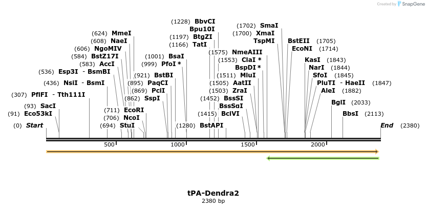 157222_map