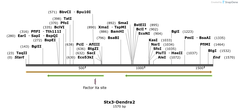 157223_map