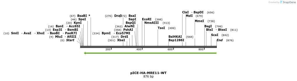 157236_map