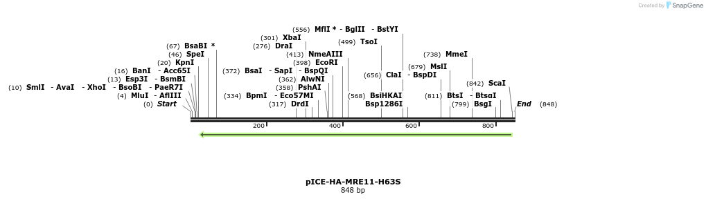 157238_map