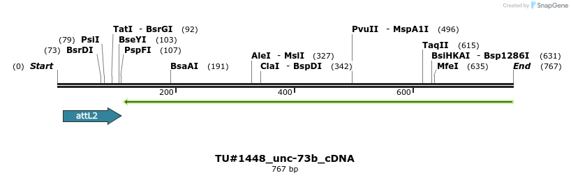 157239_map