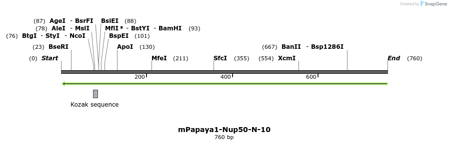 157240_map