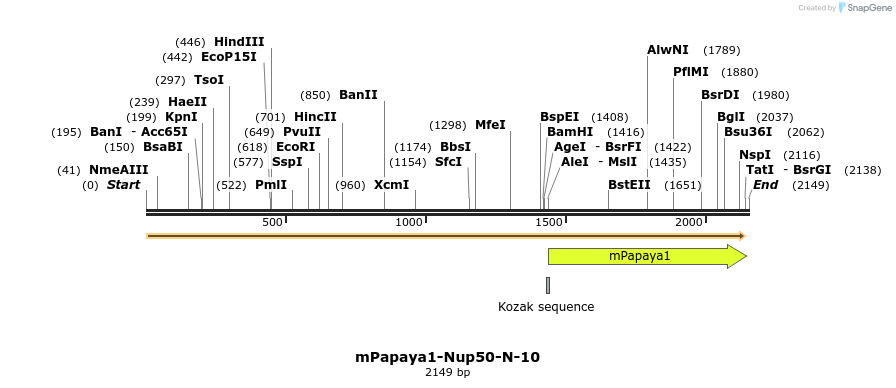 157241_map