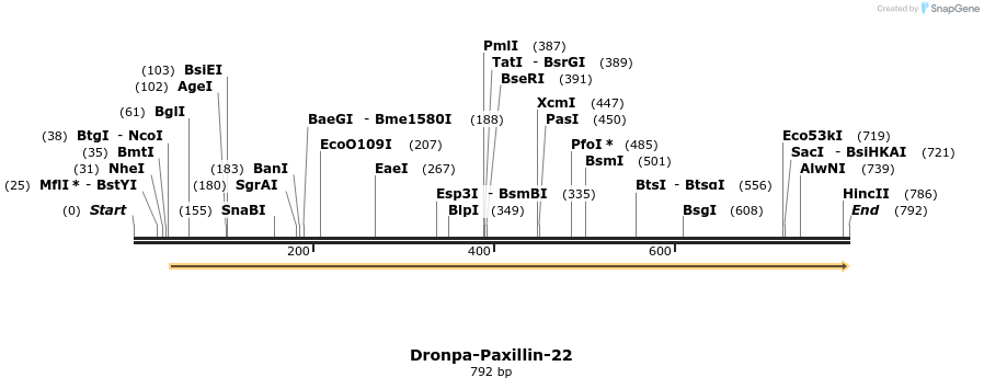 157242_map
