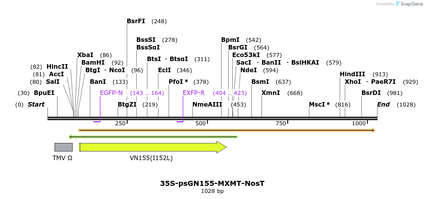 157243_map