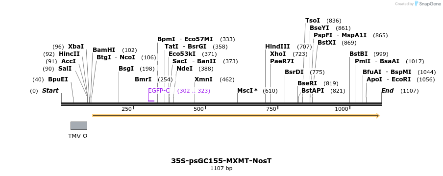 157246_map
