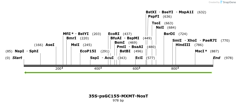 157247_map