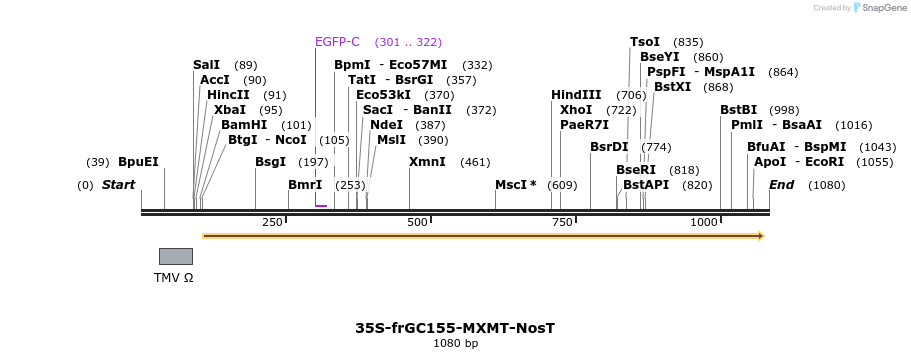157248_map