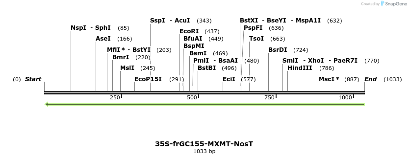 157249_map