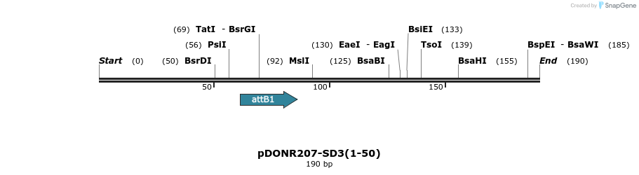 157252_map