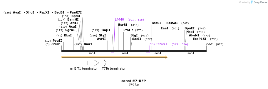 157253_map