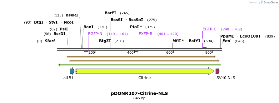 157256_map