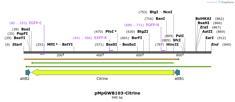 157260_map