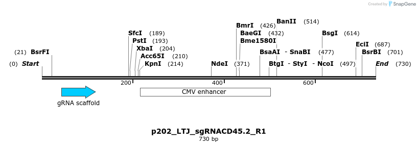 157272_map
