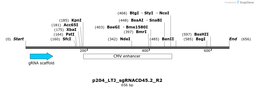 157274_map