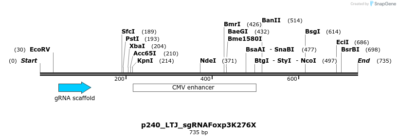 157279_map