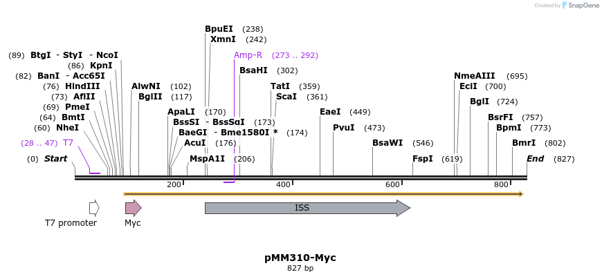 157285_map