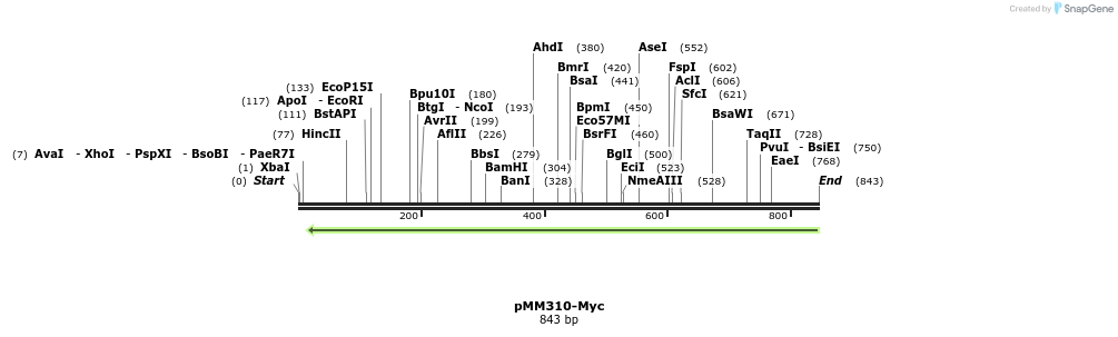 157286_map
