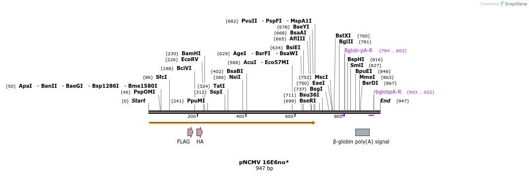 157293_map