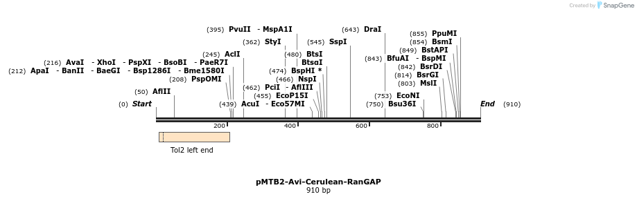 157296_map