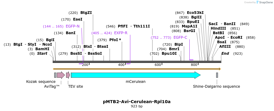 157300_map