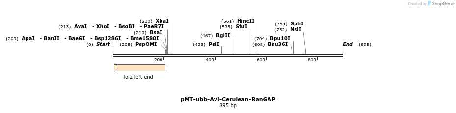 157304_map