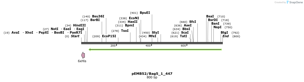157307_map
